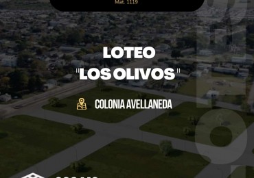 NUEVO LOTEO  “LOS OLIVOS” EN EL MEJOR PUNTO DE COLONIA AVELLANEDA