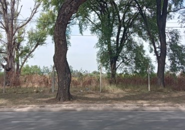 VENTA - LOTE DE 4800 M2 - ALMAFUERTE ZONA DIARCO 